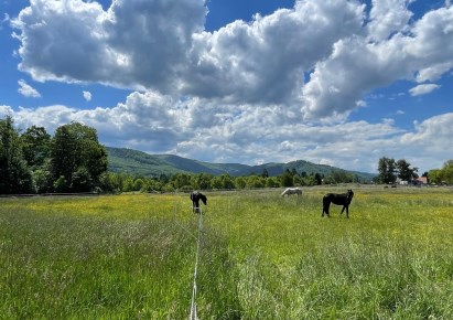 działka na sprzedaż - Bielsko-Biała, Kamienica