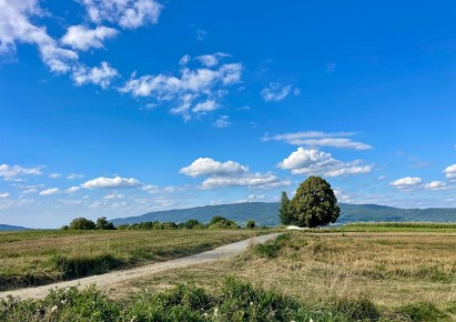 działka na sprzedaż - Łodygowice, Pietrzykowice