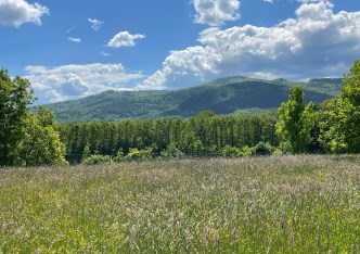 działka na sprzedaż - Bielsko-Biała, Kamienica