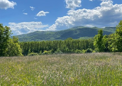 działka na sprzedaż - Bielsko-Biała, Kamienica