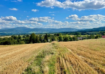 działka na sprzedaż - Łodygowice, Pietrzykowice