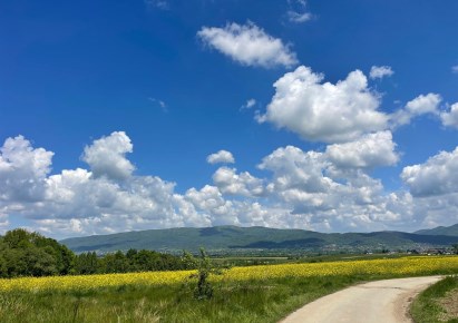 działka na sprzedaż - Łodygowice, Pietrzykowice