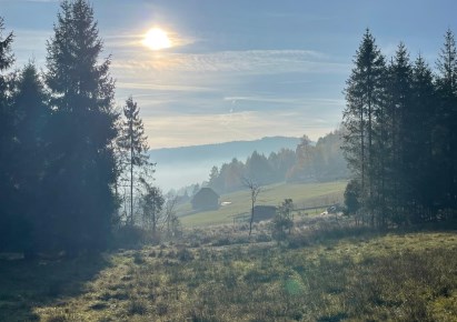 działka na sprzedaż - Milówka