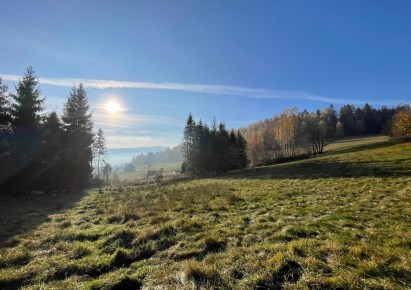 działka na sprzedaż - Milówka