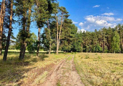 działka na sprzedaż - Kalety, Drutarnia
