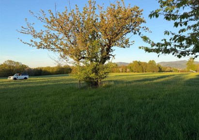 działka na sprzedaż - Bielsko-Biała, Kamienica