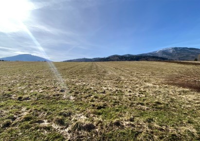 działka na sprzedaż - Lipowa, Błękitna