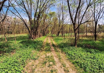 działka na sprzedaż - Świnna, Pewel Mała
