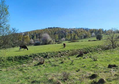 działka na sprzedaż zamianę - Jeleśnia