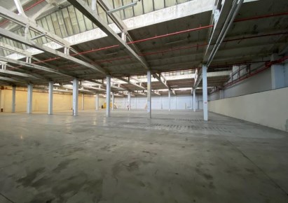 hala na wynajem - Bielsko-Biała, Centrum
