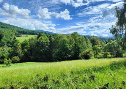 działka na sprzedaż - Stryszawa, Lachowice