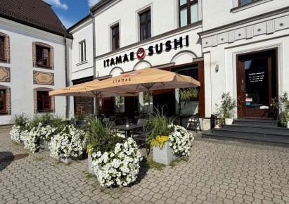 lokal na wynajem - Bielsko-Biała, Centrum
