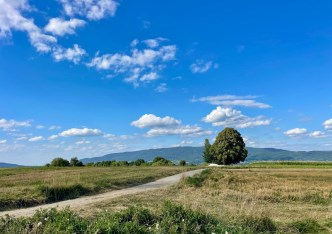 działka na sprzedaż - Łodygowice, Pietrzykowice
