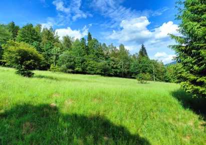 działka na sprzedaż - Stryszawa, Lachowice