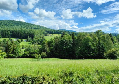 działka na sprzedaż - Stryszawa, Lachowice