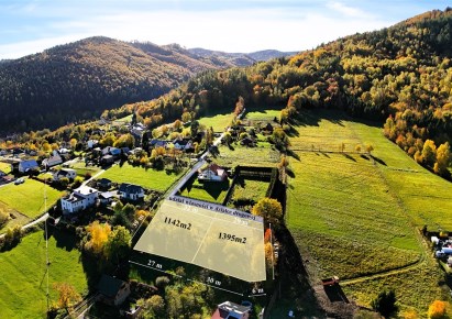 działka na sprzedaż - Lipowa, Ostre